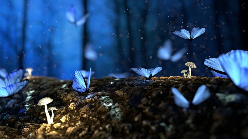 Enchanted Vows